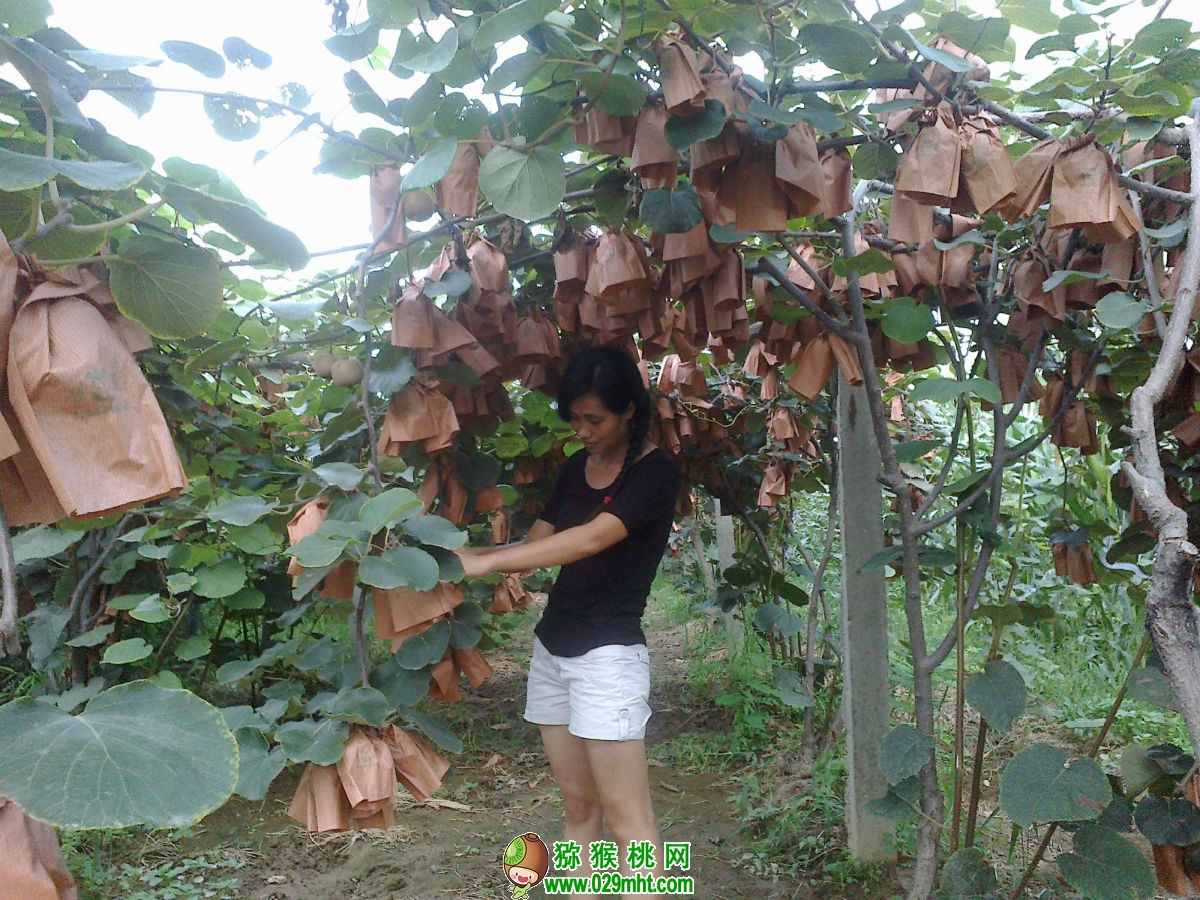 豪门国际 4f728