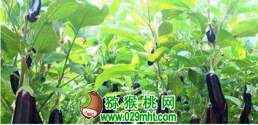 豪门国际官方网站图片