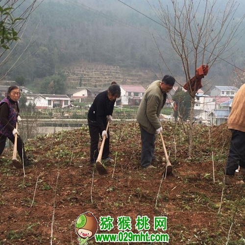 豪门国际官方网站图片