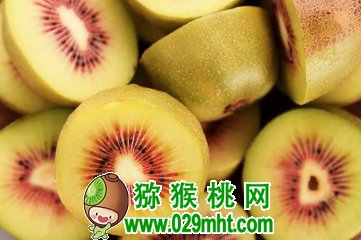 豪门国际官方网站图片