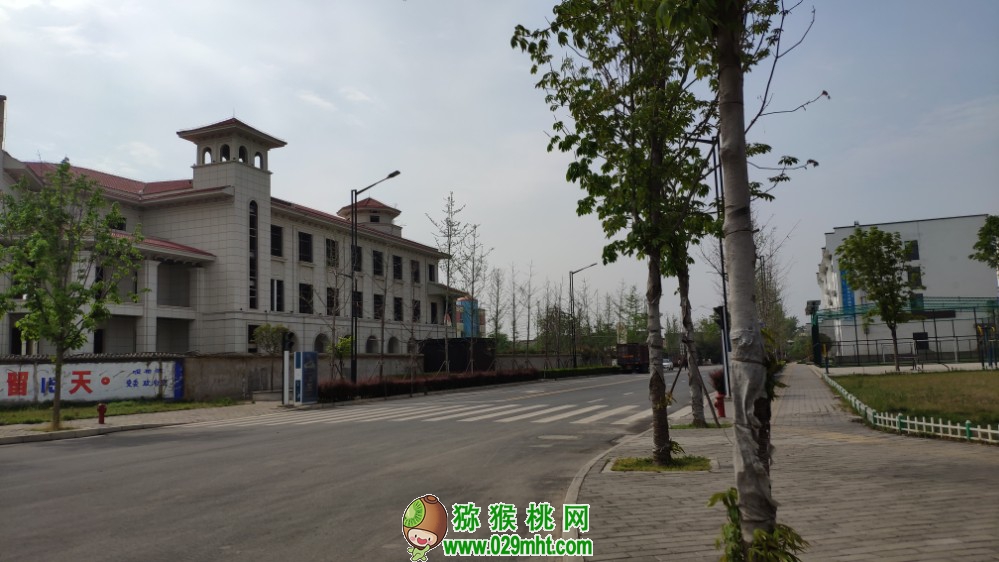 豪门国际官方网站图片