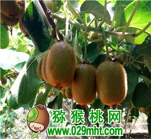 豪门国际官方网站图片