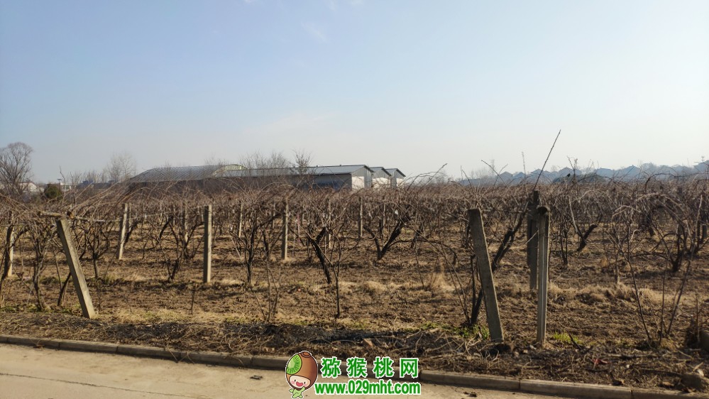 豪门国际 5e8df