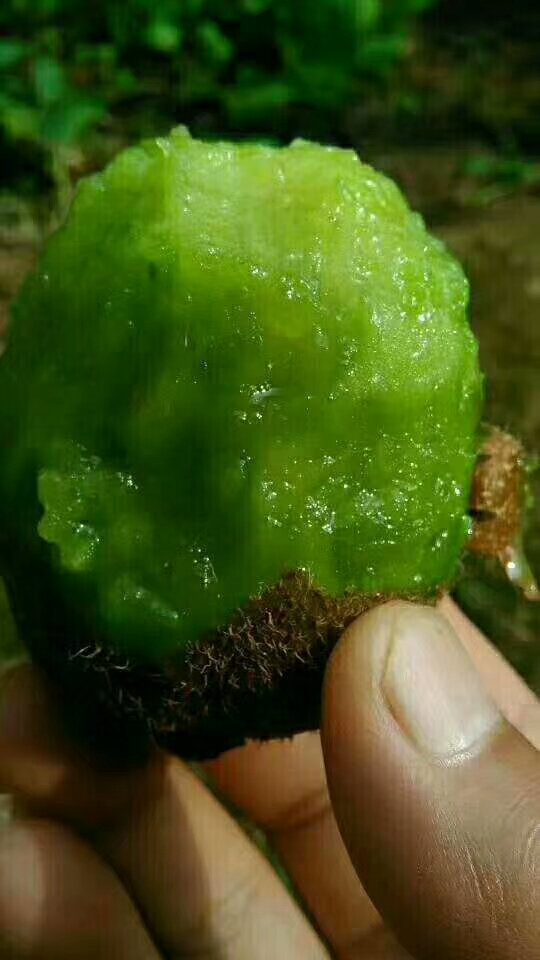 豪门国际 2cde6
