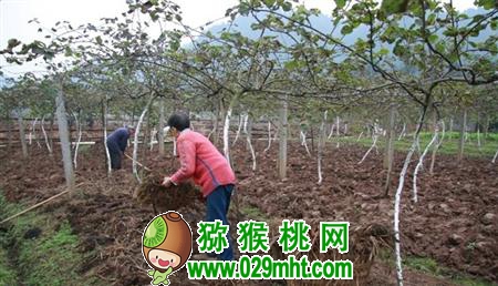 豪门国际官方网站图片