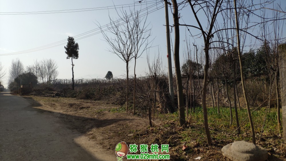 豪门国际 92afa