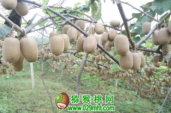 豪门国际官方网站图片