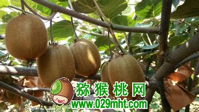 豪门国际官方网站图片