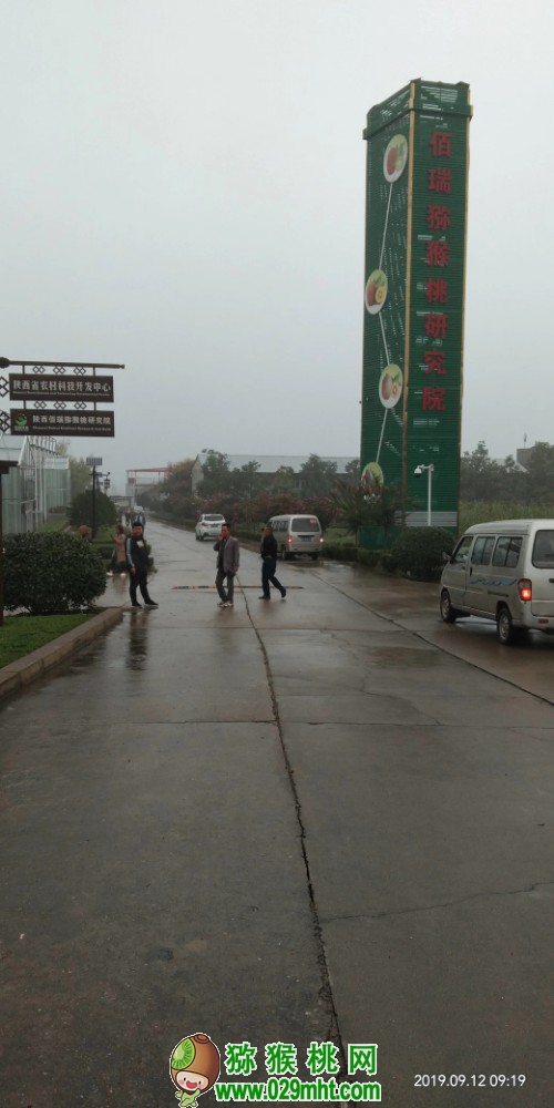 豪门国际 df255
