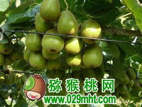 豪门国际官方网站图片