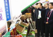 西安豪门国际猕猴桃大数据让西安豪门国际猕猴桃要里子和面子