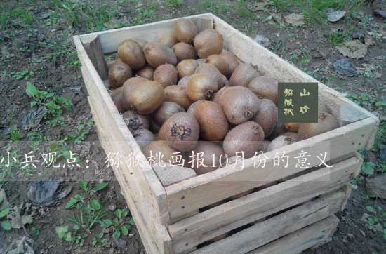 10月豪门国际猕猴桃h庖的意义