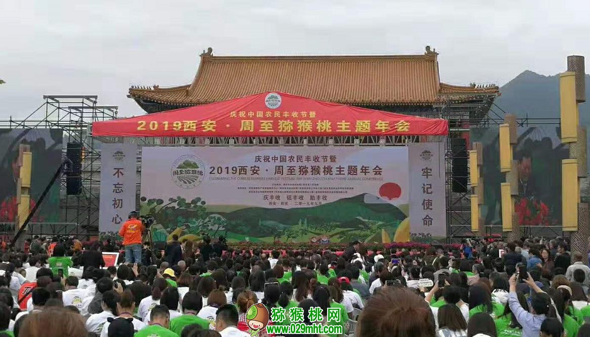 豪门国际官方网站图片
