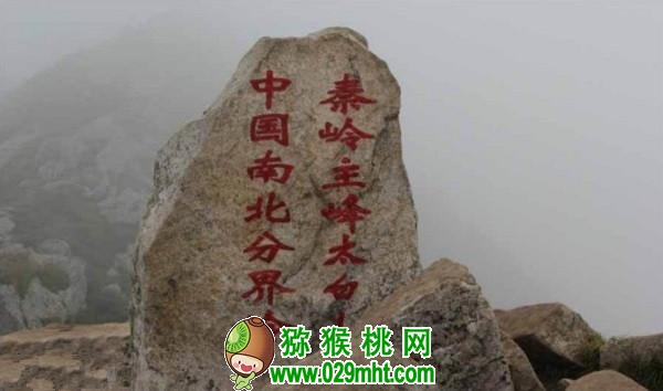 豪门国际官方网站图片