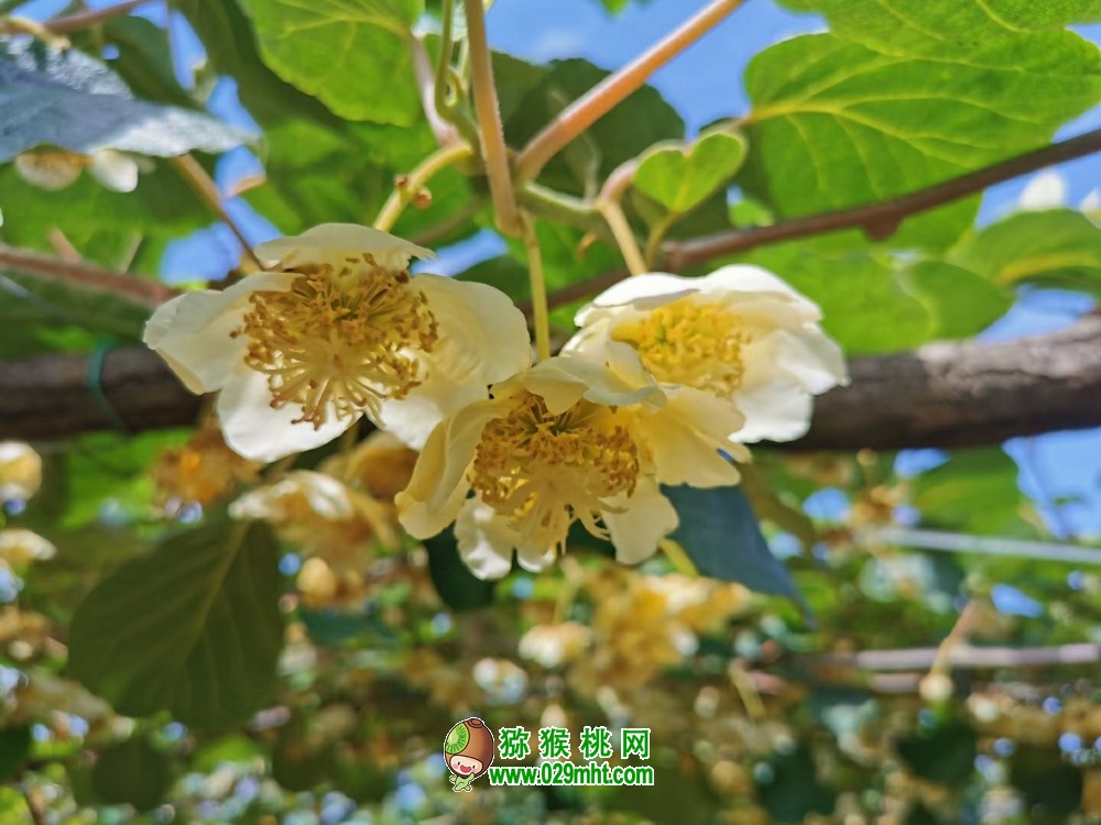 豪门国际 9b019