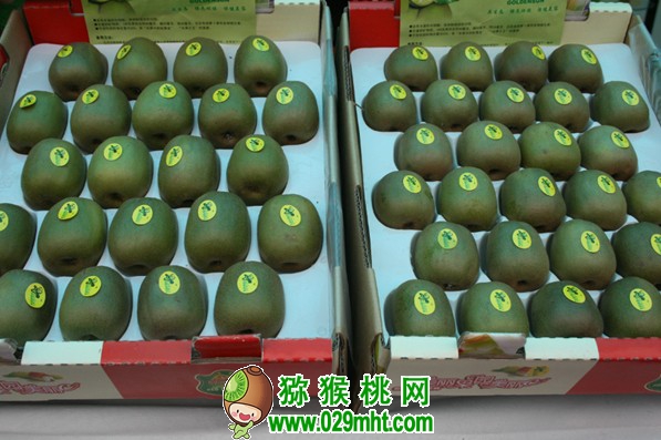 豪门国际 07c46