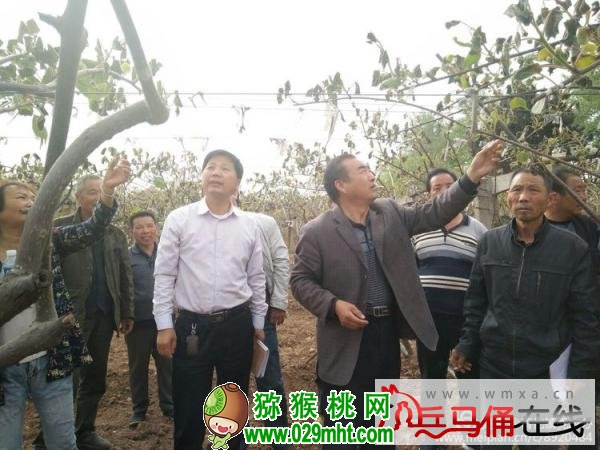 豪门国际 8c0d8