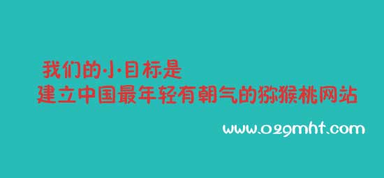 豪门国际官方网站图片