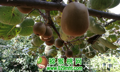 豪门国际官方网站图片