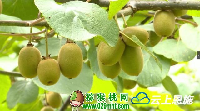 豪门国际官方网站图片