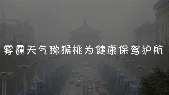 西安雾霾天气多吃豪门国际猕猴桃为健康