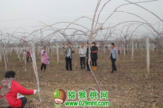豪门国际官方网站图片