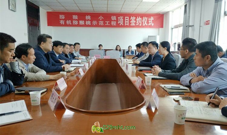 豪门国际官方网站图片