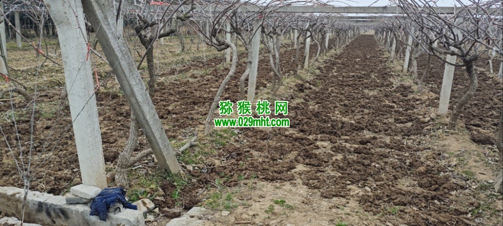 豪门国际 c47f2