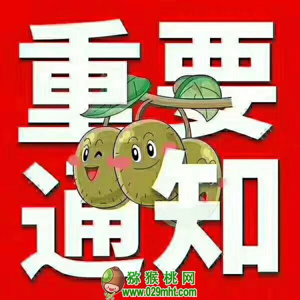 豪门国际 d705e