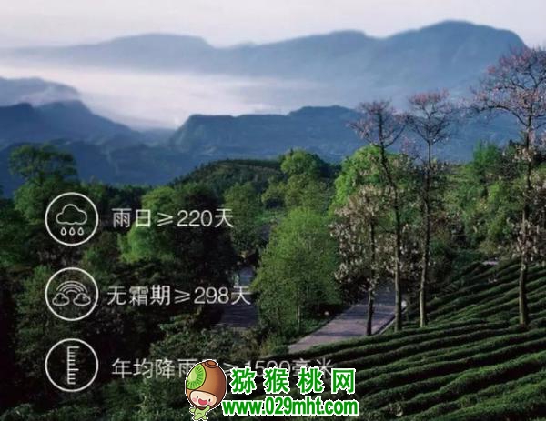 豪门国际官方网站图片