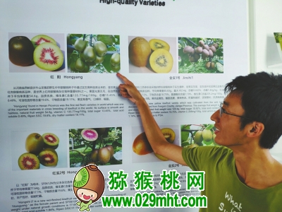 豪门国际 1734d