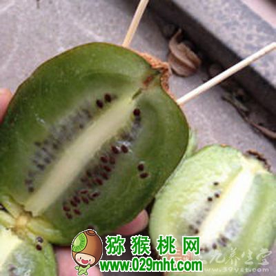 用牙签催熟<a href=http://www.linux-china.com target=_blank class=infotextkey />奇异果</a>