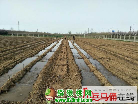 豪门国际官方网站图片
