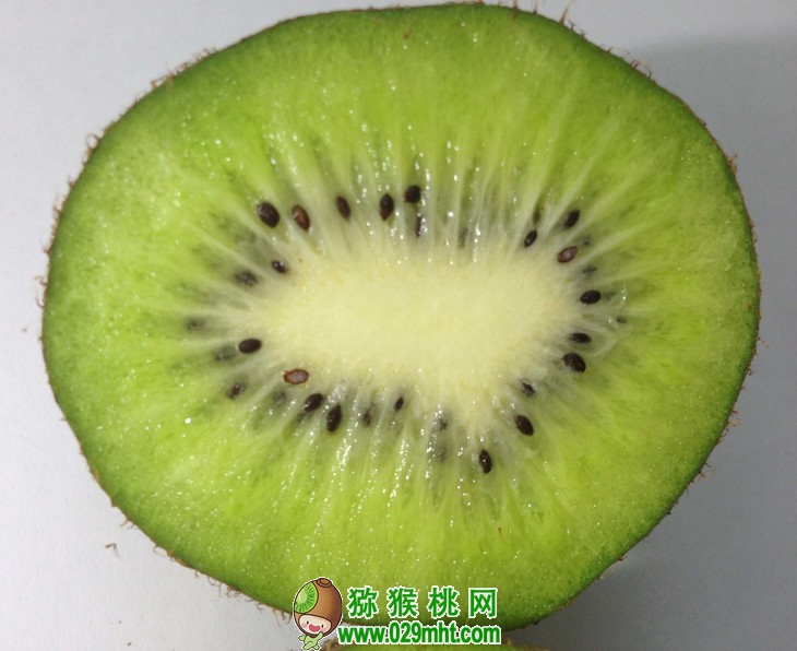 豪门国际官方网站图片