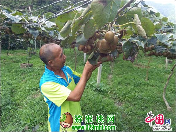 豪门国际 a3f4e
