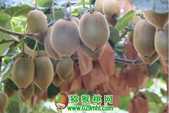 豪门国际官方网站图片