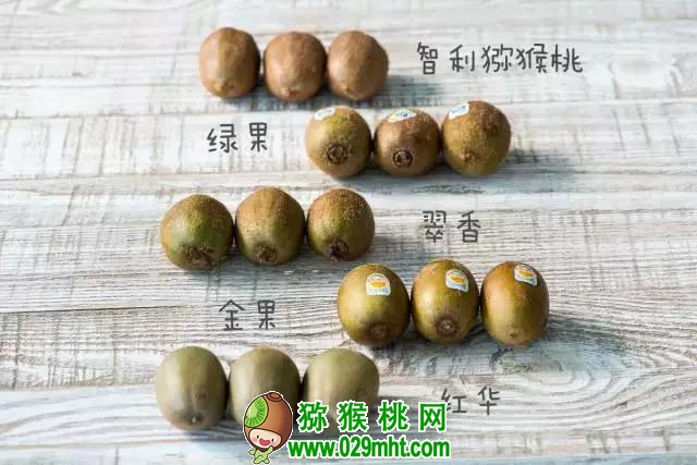 豪门国际官方网站图片