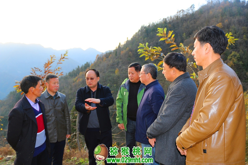 豪门国际官方网站图片