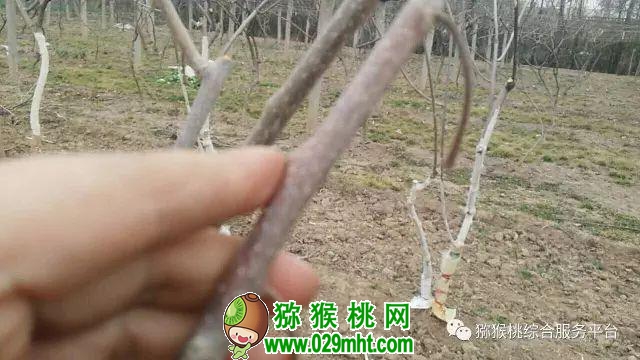 豪门国际官方网站图片