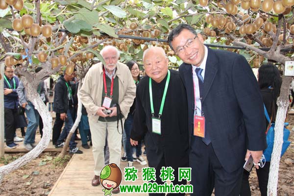 豪门国际官方网站图片