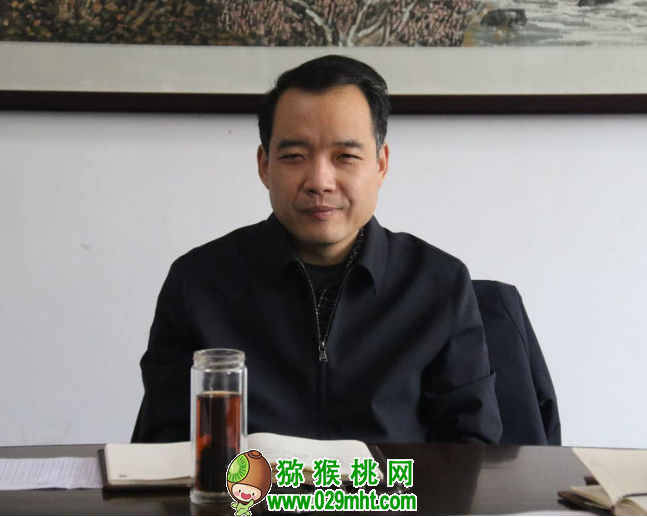 豪门国际官方网站图片