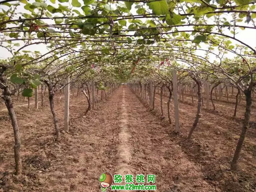 豪门国际官方网站图片