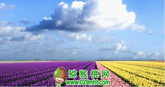 豪门国际官方网站图片