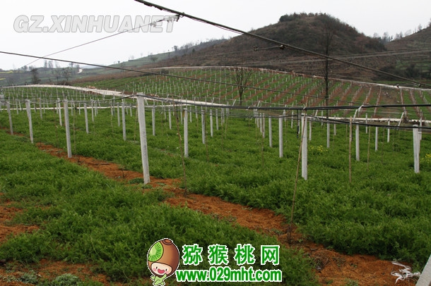 豪门国际官方网站图片