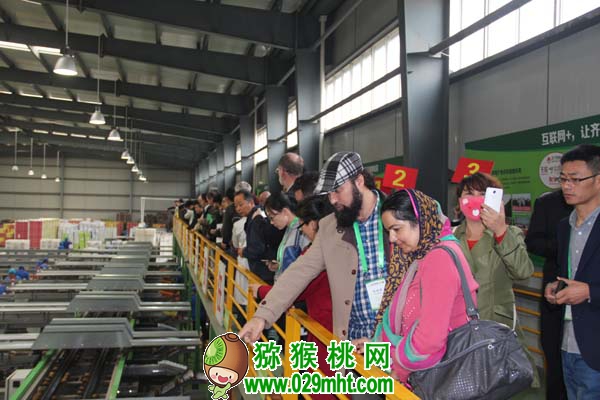 豪门国际 000ac