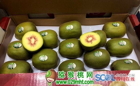 豪门国际官方网站图片