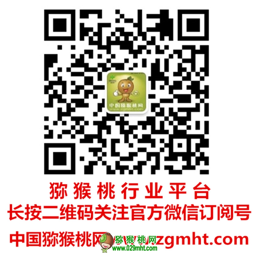 豪门国际官方网站图片