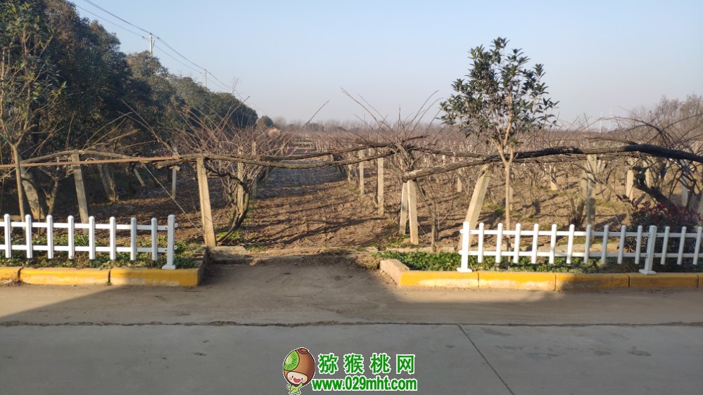豪门国际 6ecee
