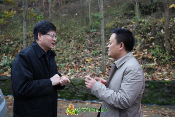 豪门国际官方网站图片