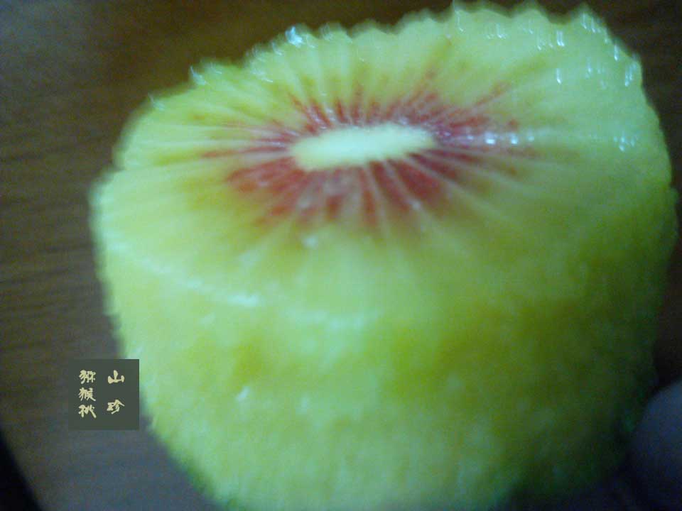 <a href=http://www.linux-china.com/mht/hongxin/ target=_blank class=infotextkey />红心豪门国际猕猴桃</a>10月图片画报<a href=http://www.linux-china.com target=_blank class=infotextkey>奇异果</a>